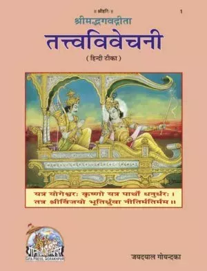 Gita - Tattva - Vivechani  (Hindi)